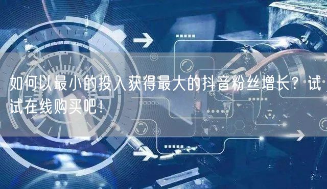 如何以最小的投入获得最大的抖音粉丝增长?试试在线购买吧!
