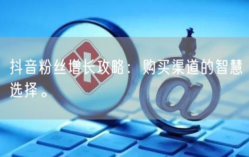 抖音粉丝增长攻略:购买渠道的智慧选择。