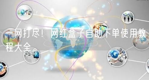 一网打尽!网红盒子自助下单使用教程大全。