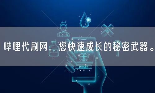 哔哩代刷网,您快速成长的秘密武器。