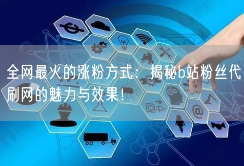 全网最火的涨粉方式：揭秘b站粉丝代刷网的魅力与效果！