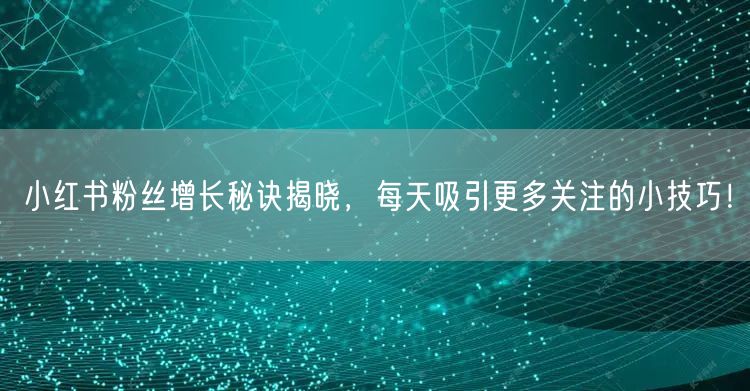 小红书粉丝增长秘诀揭晓，每天吸引更多关注的小技巧！