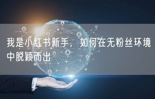 我是小红书新手，如何在无粉丝环境中脱颖而出