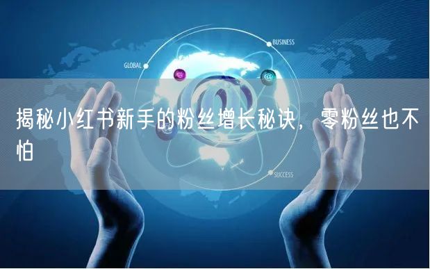 揭秘小红书新手的粉丝增长秘诀,零粉丝也不怕