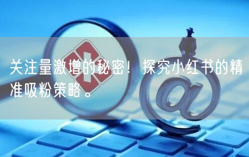关注量激增的秘密！探究小红书的精准吸粉策略。