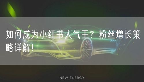 如何成为小红书人气王?粉丝增长策略详解!