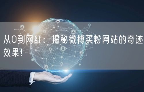 从0到网红:揭秘微博买粉网站的奇迹效果!