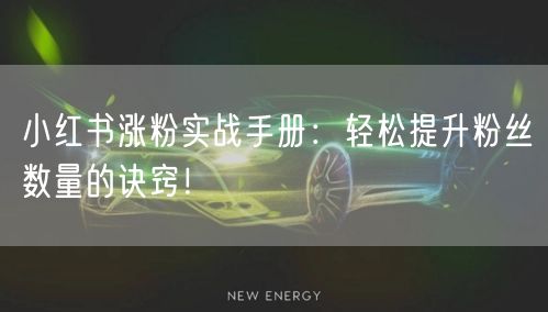 小红书涨粉实战手册:轻松提升粉丝数量的诀窍!