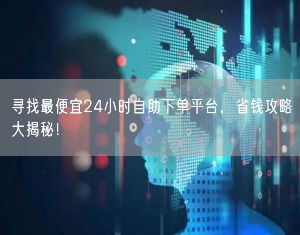 寻找最便宜24小时自助下单平台，省钱攻略大揭秘！