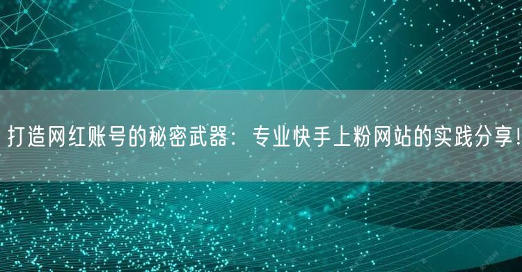 打造网红账号的秘密武器：专业快手上粉网站的实践分享！