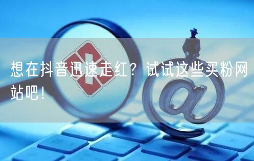 想在抖音迅速走红？试试这些买粉网站吧！