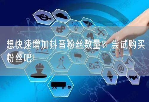 想快速增加抖音粉丝数量?尝试购买粉丝吧!