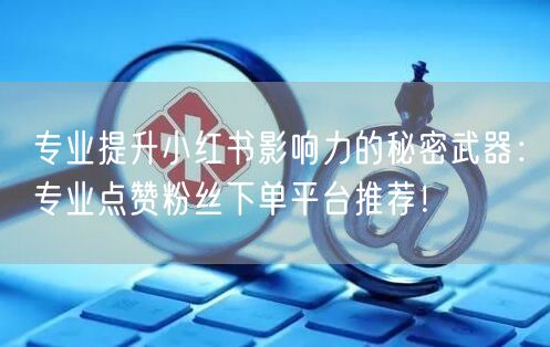 专业提升小红书影响力的秘密武器:专业点赞粉丝下单平台推荐!