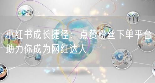 小红书成长捷径:点赞粉丝下单平台助力你成为网红达人