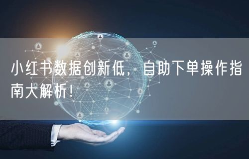 小红书数据创新低,自助下单操作指南大解析!