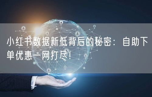 小红书数据新低背后的秘密:自助下单优惠一网打尽!
