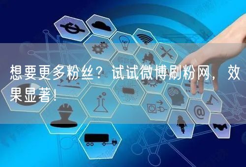 想要更多粉丝?试试微博刷粉网,效果显著!