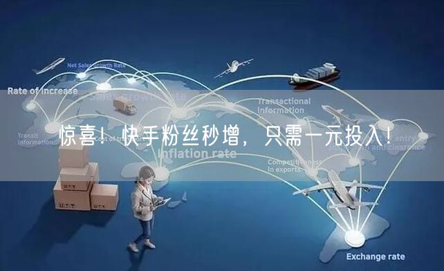 惊喜！快手粉丝秒增，只需一元投入！