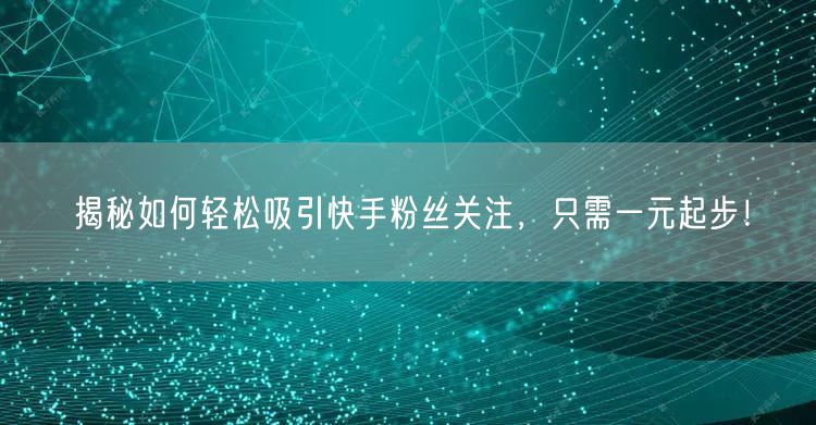 揭秘如何轻松吸引快手粉丝关注，只需一元起步！