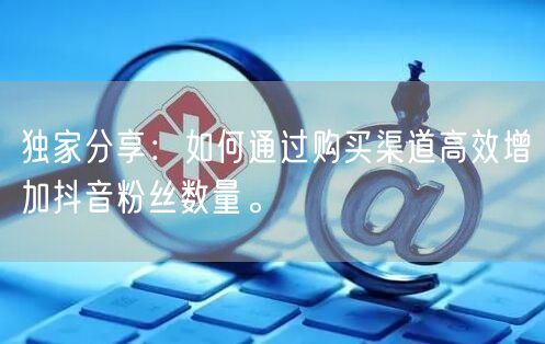 独家分享:如何通过购买渠道高效增加抖音粉丝数量。