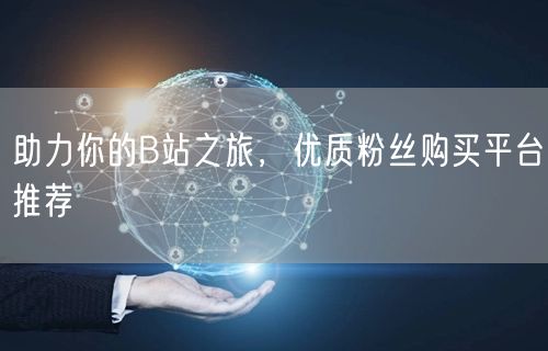 助力你的B站之旅,优质粉丝购买平台推荐