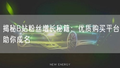 揭秘B站粉丝增长秘籍:优质购买平台助你成名
