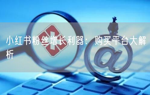 小红书粉丝增长利器:购买平台大解析