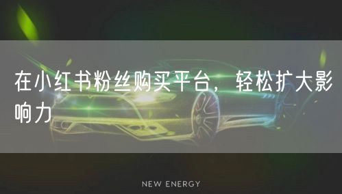在小红书粉丝购买平台,轻松扩大影响力