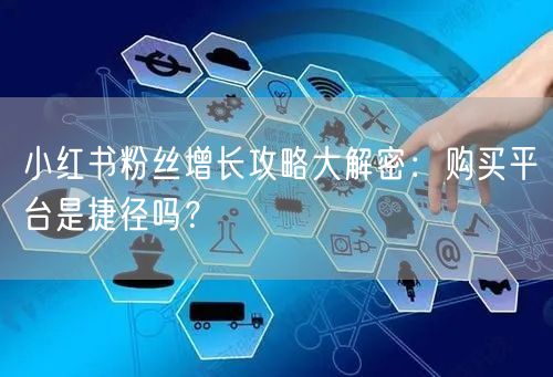 小红书粉丝增长攻略大解密:购买平台是捷径吗?