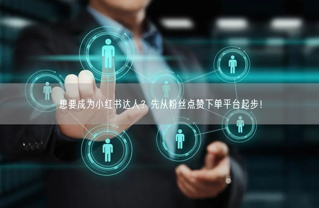 想要成为小红书达人?先从粉丝点赞下单平台起步!