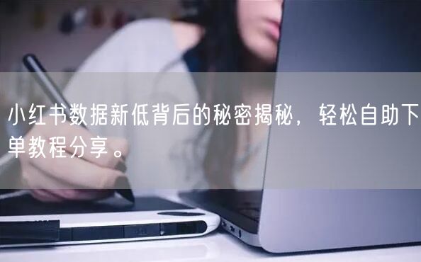 小红书数据新低背后的秘密揭秘，轻松自助下单教程分享。