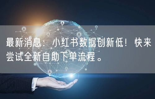 最新消息：小红书数据创新低！快来尝试全新自助下单流程。