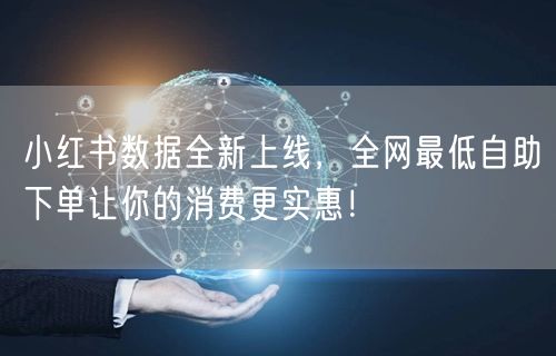 小红书数据全新上线,全网最低自助下单让你的消费更实惠!