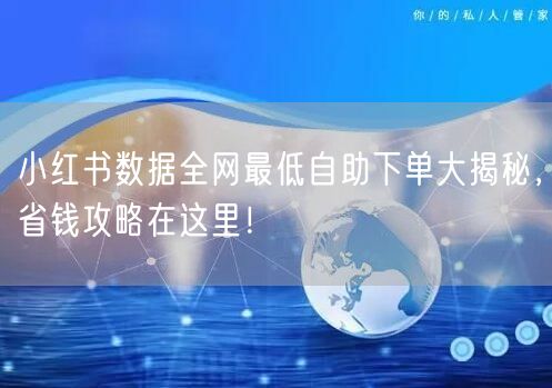 小红书数据全网最低自助下单大揭秘,省钱攻略在这里!