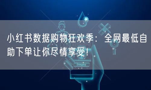 小红书数据购物狂欢季:全网最低自助下单让你尽情享受!