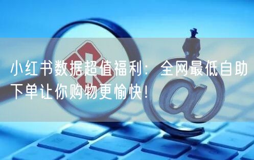 小红书数据超值福利:全网最低自助下单让你购物更愉快!