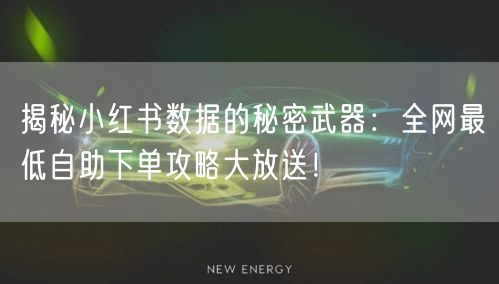 揭秘小红书数据的秘密武器:全网最低自助下单攻略大放送!