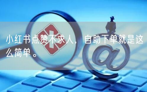 小红书点赞不求人,自助下单就是这么简单。