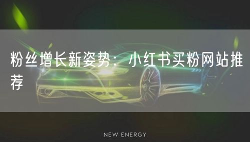粉丝增长新姿势:小红书买粉网站推荐