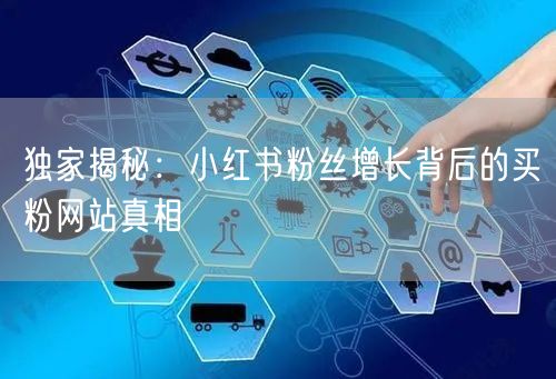 独家揭秘：小红书粉丝增长背后的买粉网站真相