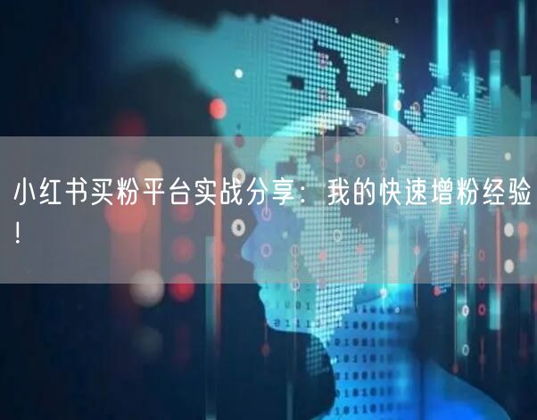 小红书买粉平台实战分享:我的快速增粉经验!