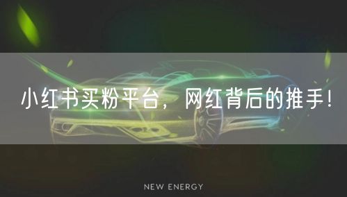 小红书买粉平台,网红背后的推手!