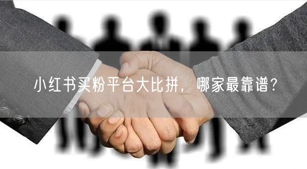 小红书买粉平台大比拼,哪家最靠谱?