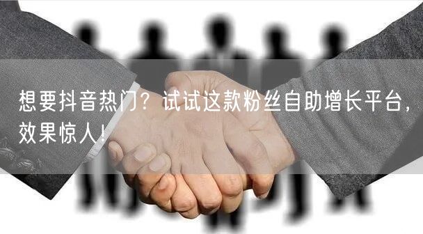 想要抖音热门？试试这款粉丝自助增长平台，效果惊人！