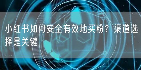 小红书如何安全有效地买粉?渠道选择是关键