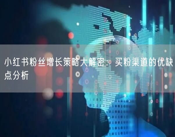 小红书粉丝增长策略大解密:买粉渠道的优缺点分析