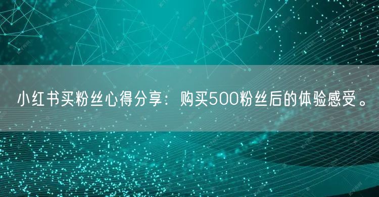 小红书买粉丝心得分享:购买500粉丝后的体验感受。
