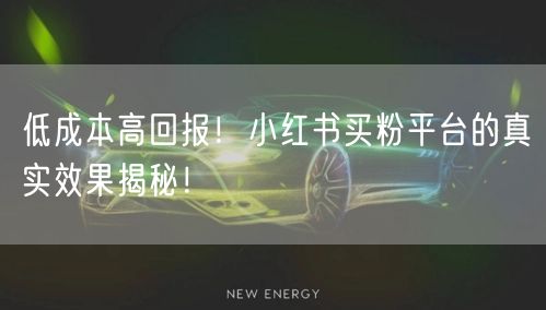 低成本高回报!小红书买粉平台的真实效果揭秘!