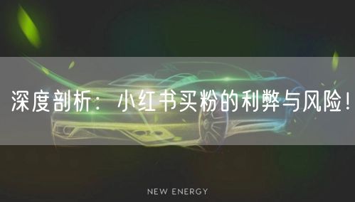 深度剖析:小红书买粉的利弊与风险!