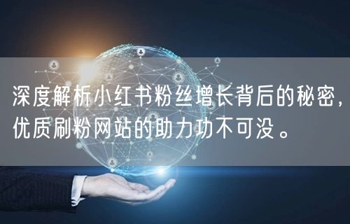 深度解析小红书粉丝增长背后的秘密，优质刷粉网站的助力功不可没。